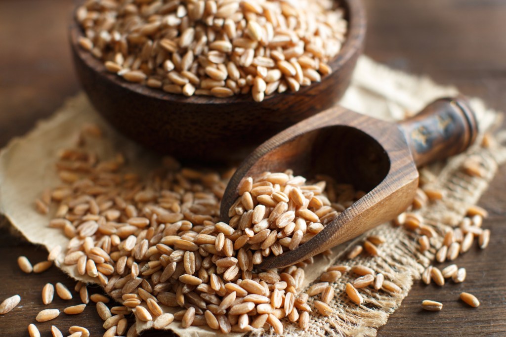 trigo-espelta Bebidas vegetais: 5 alternativas mais leves que o leite de vaca