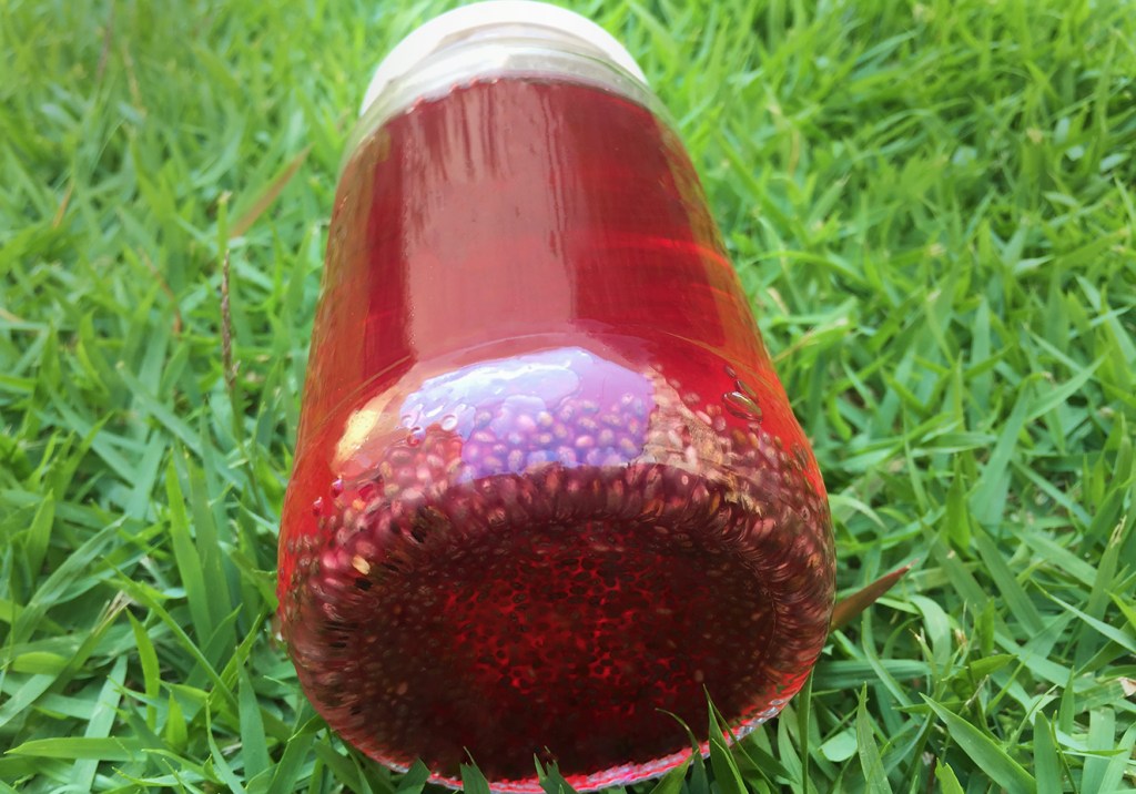 Giulia Granchi 3 maneiras deliciosas (e fit) de incluir a gelatina no cardápio