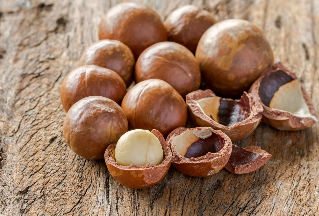 macadamia Manteigas de nuts: a tendência fit que você precisa conhecer
