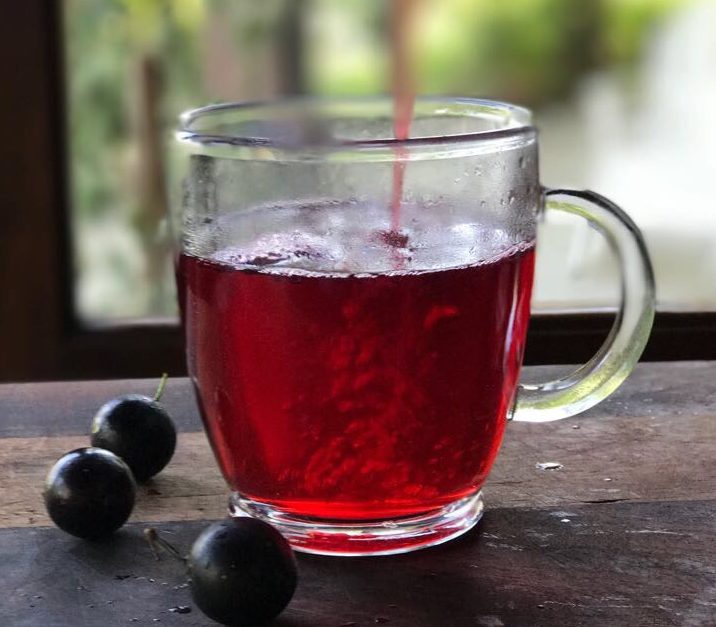 &Eacute;poca de jabuticaba: receitas de peixe, pudim e ch&aacute; com a fruta