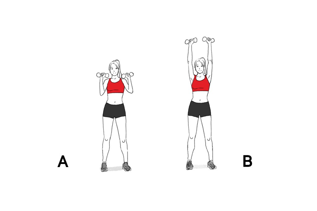 Treino de hipertrofia Siga este treino e conquiste um corpo mais definido em até dois meses