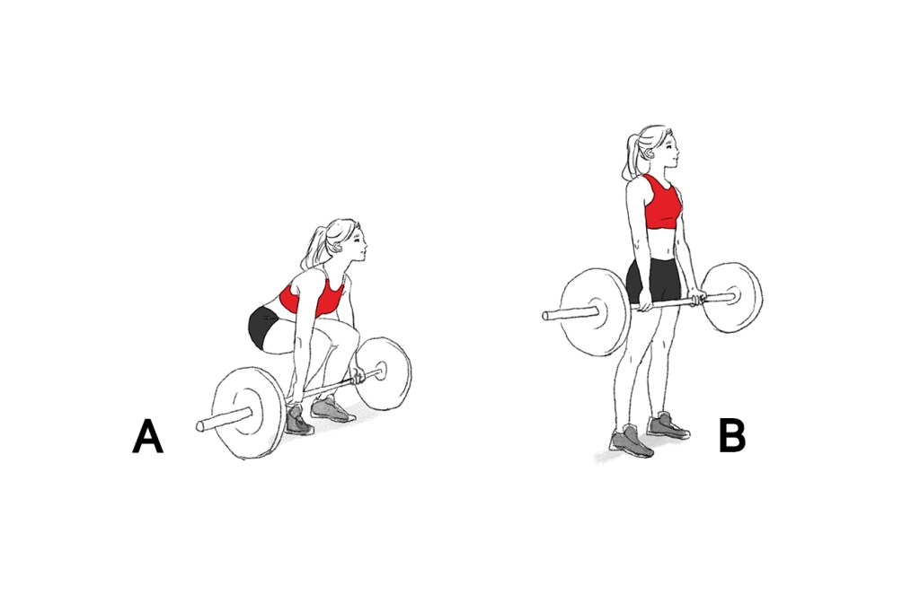 Treino de hipertrofia Siga este treino e conquiste um corpo mais definido em até dois meses