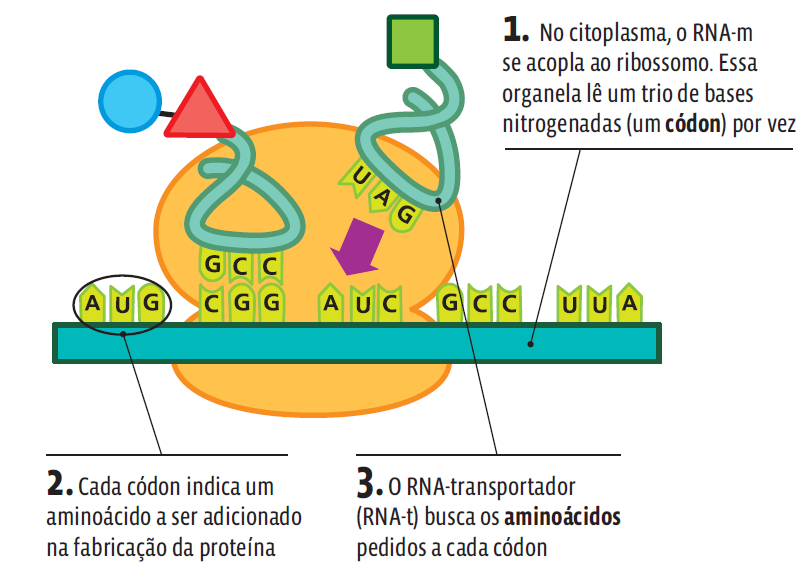 AUla 26 - Pag 21-1