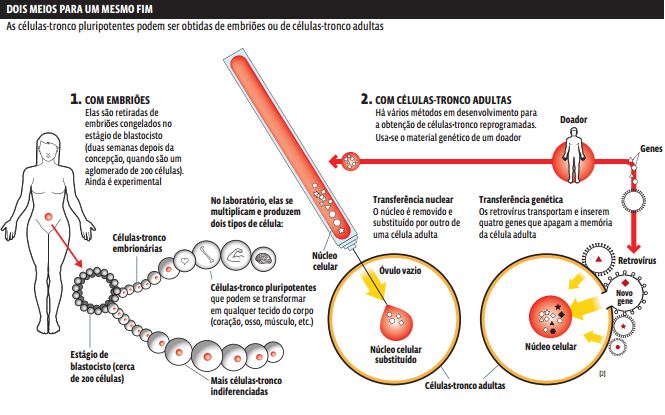 g8 Genética: Biotecnologia