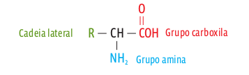 grupos