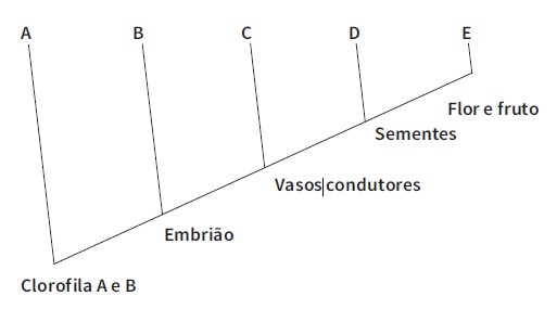 GEBIOLOGIAISBN-5-103