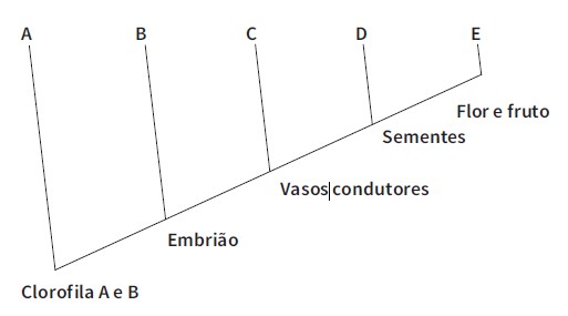 GEBIOLOGIAISBN-5-103