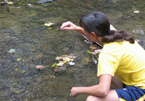 Devo fazer Engenharia Ambiental ou Agronomia?