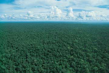 Regi&otilde;es clim&aacute;ticas &ndash; resumo e quest&atilde;o comentada