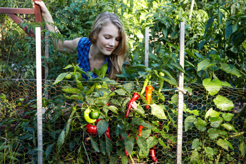 Será que Ecologia é o melhor curso para mim?