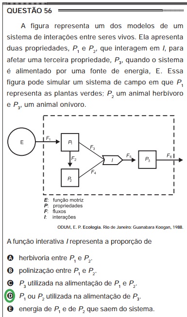 Como estudar Biologia para o Enem?