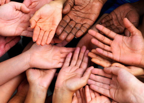 Como &eacute; a carreira de Estudo de G&ecirc;nero e Diversidade?