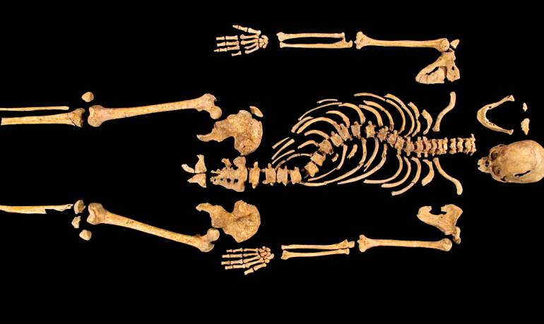 Cientistas comprovam que esqueleto encontrado na Inglaterra é mesmo de Ricardo III