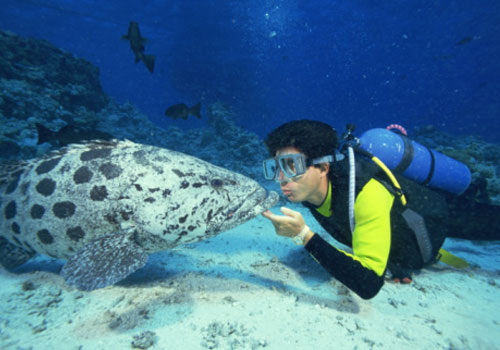 Curso de Oceanologia da FURG se divide em áreas biológica, física, geológica e química