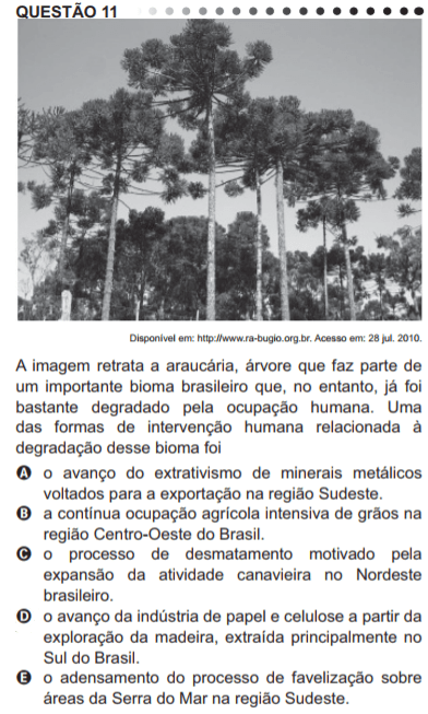 Como cai na prova: Climas e vegetações do Brasil