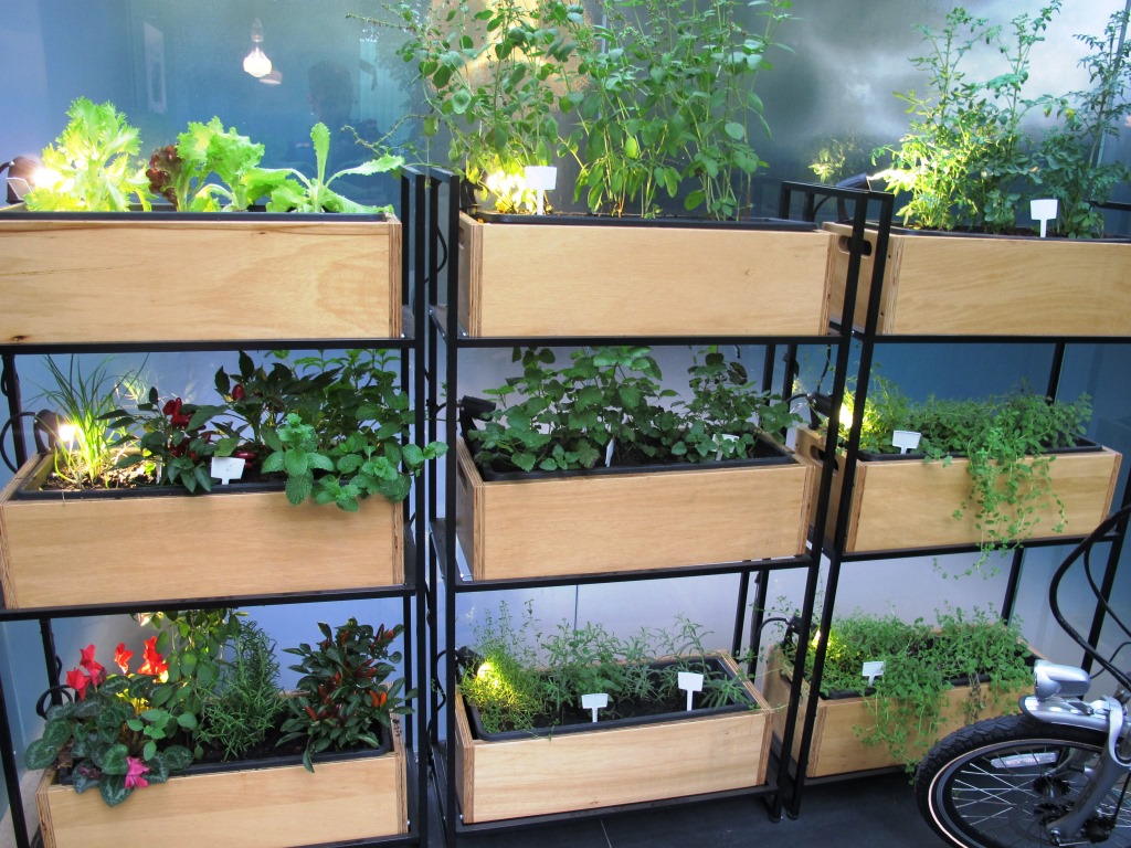 8 dicas para cultivar uma horta dentro de casa