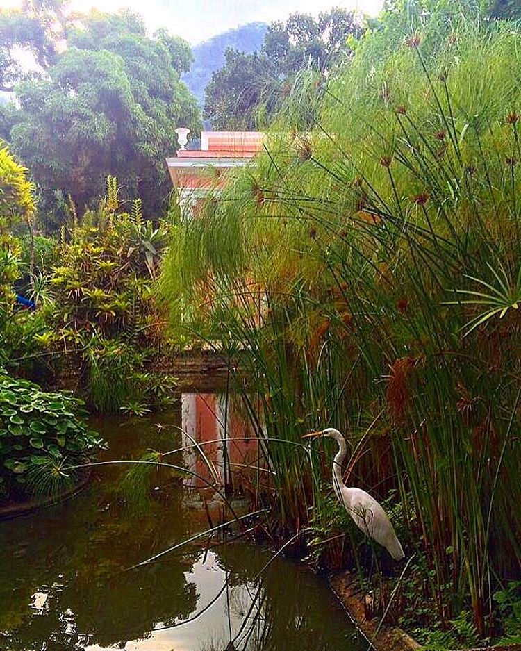 A CASA COR Rio ocorrer&aacute; na Resid&ecirc;ncia Celso Rocha Miranda, na G&aacute;vea