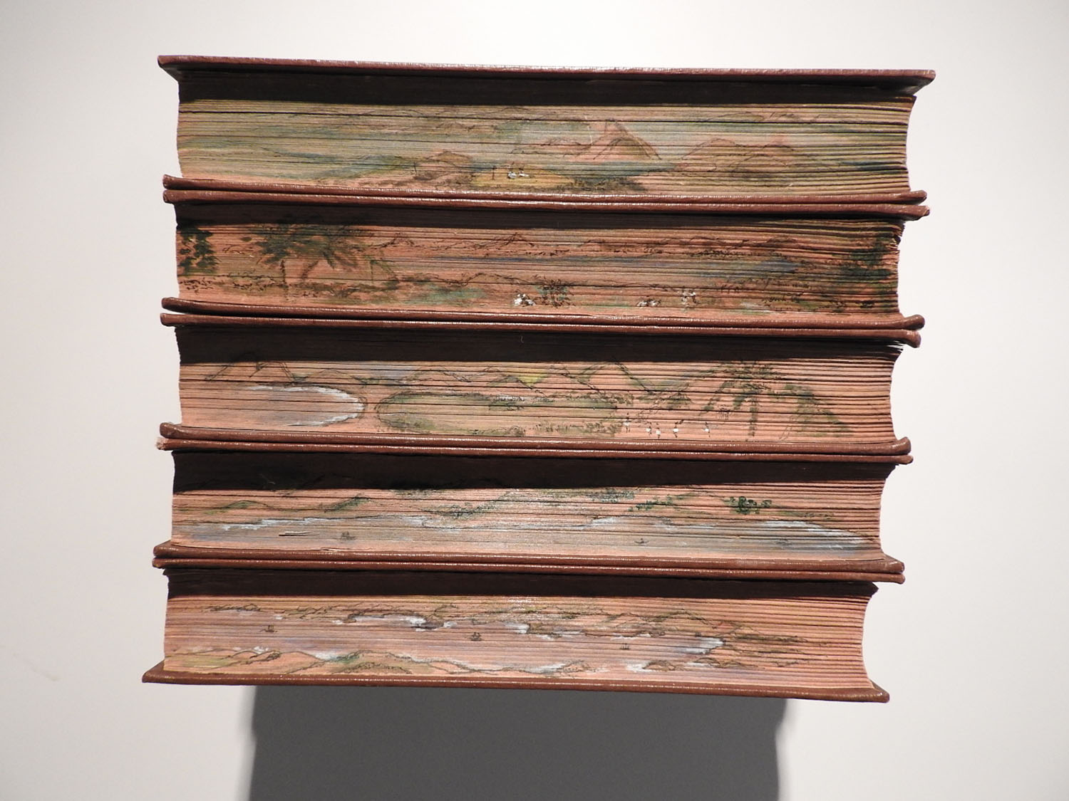 CASA COR Mostra Arte: Patricia Anastassiadis exp&otilde;e aquarela em livro