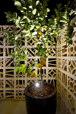 7 ambientes da CASA COR RS 2016 investem em revestimento cer&acirc;mico