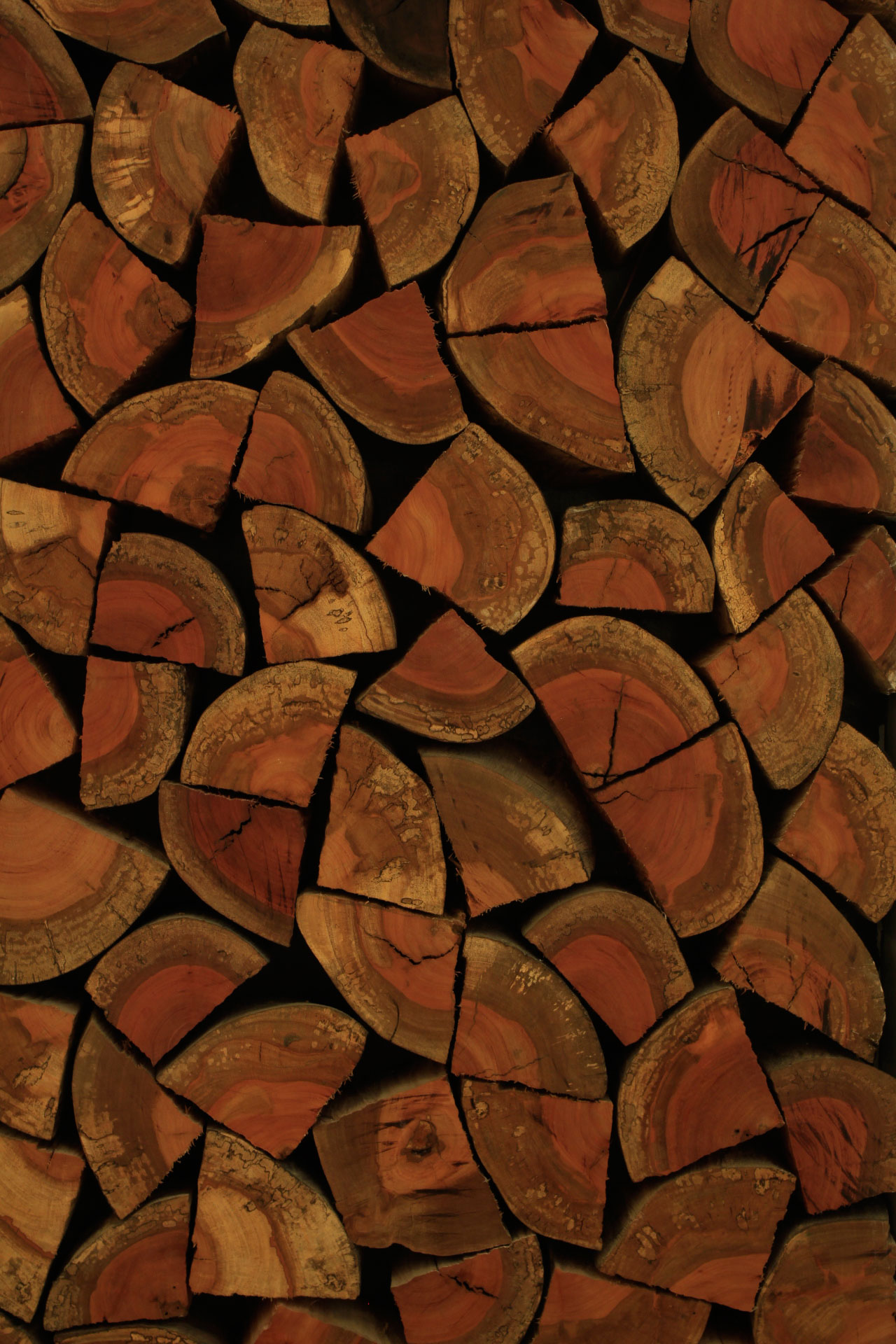 CASACOR SP: toras de madeira completam e revestem parede de ambiente