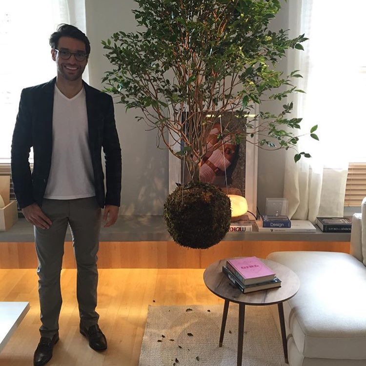 Do rural para o d&eacute;cor: O uso de jabuticabeiras na decora&ccedil;&atilde;o