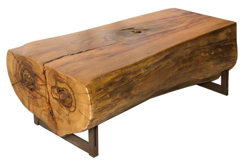 Gamboa é o novo lançamento de Monica Cintra