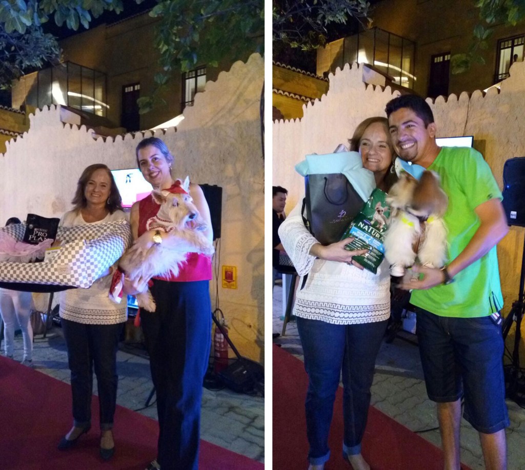 CASACOR CE promove Desfile de Pets de cunho social
