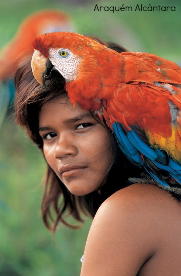 Veja de perto obras de Burle Marx e Milton Dacosta na CASA COR CAMPINAS