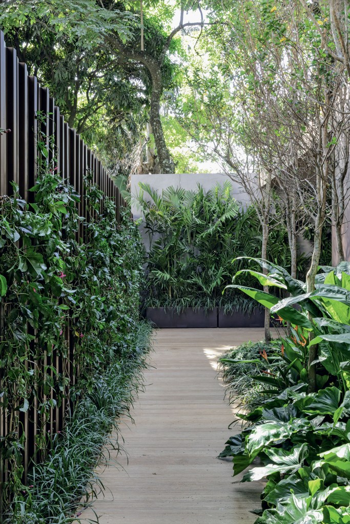 Vegetação exuberante de jardim se integra à arquitetura na CASACOR SP 2018