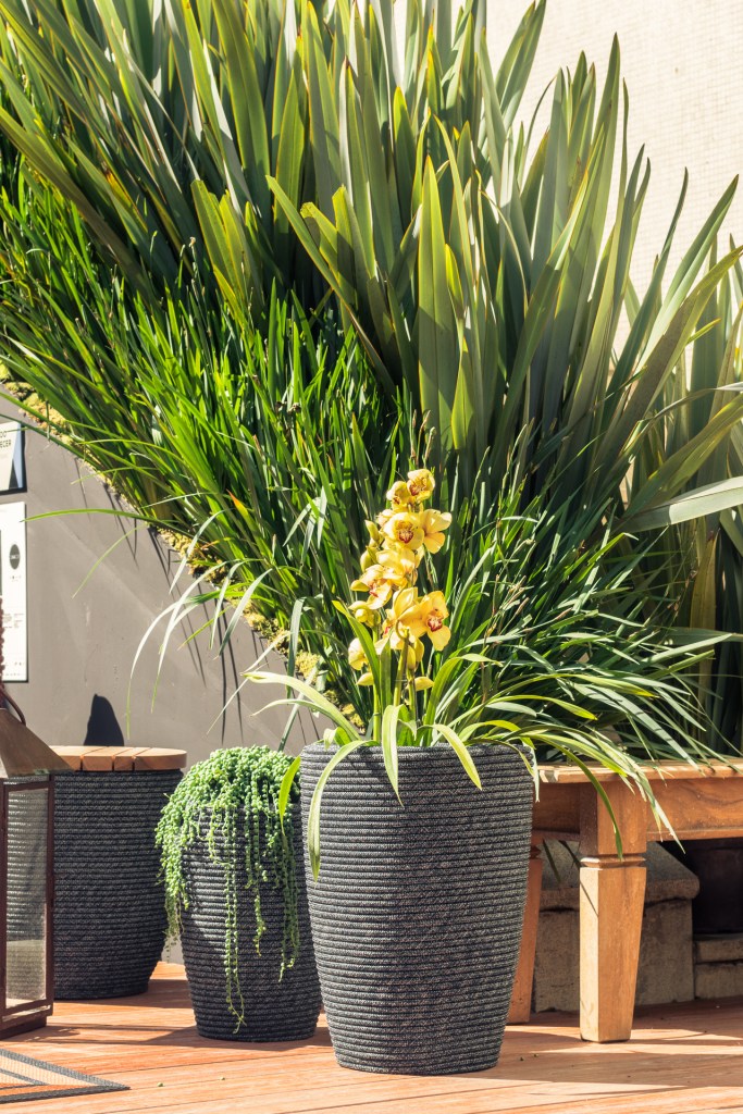 CASACOR SP: um jardim de apenas 16 m² inspirado na cultura grega