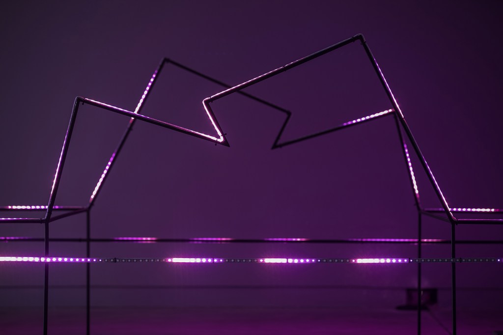 3A1A3955 Farol Santander inaugura nova exposição sobre luz e arte
