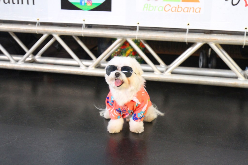 CASACOR Brasília 2018 é palco para desfile de pets