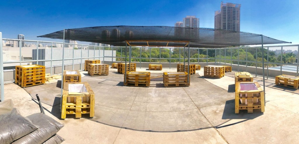 jvmp0mda Telhados verdes: a aposta de São Paulo para combater a poluição