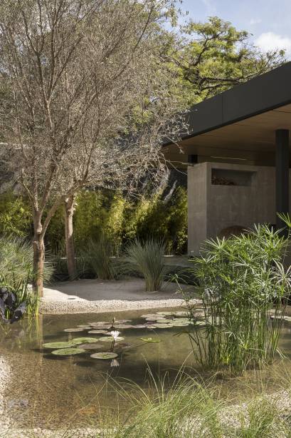 Quais esp&eacute;cies de plantas est&atilde;o na moda? A CASACOR 2018 responde!