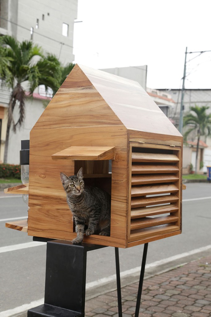 Pequenos abrigos para animais sem lar são construídos nas ruas do Equador