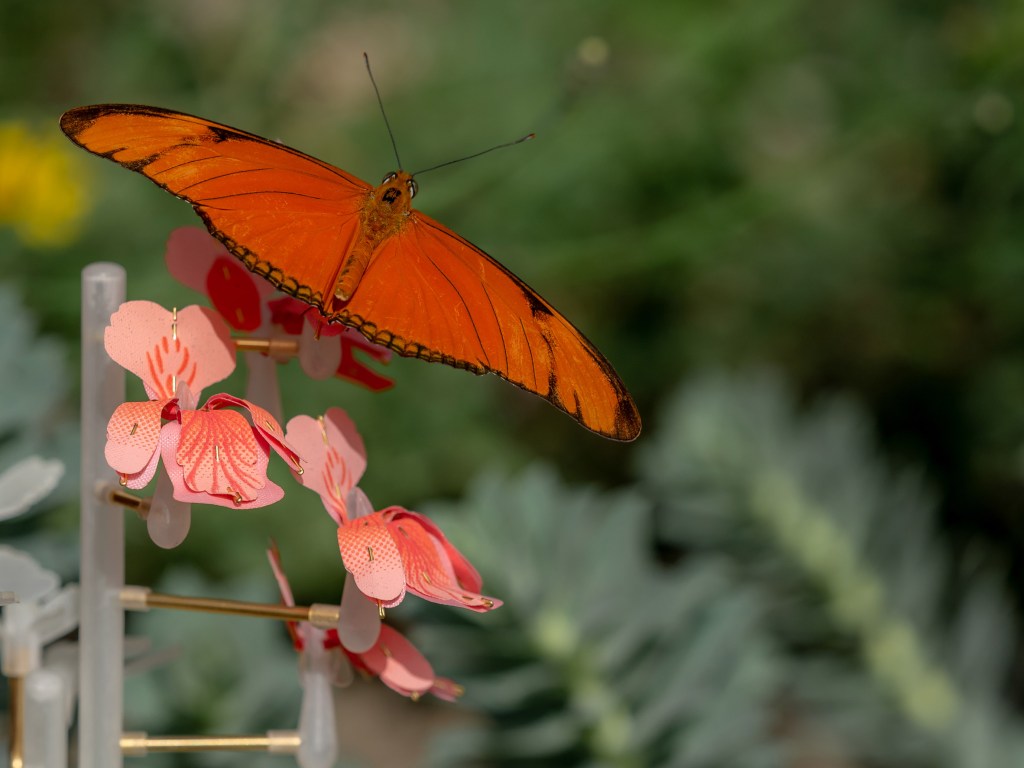 food-for-buzz-flowers-design_dezeen_2364_col_5 Designer cria flores artificiais para alimentar insetos urbanos