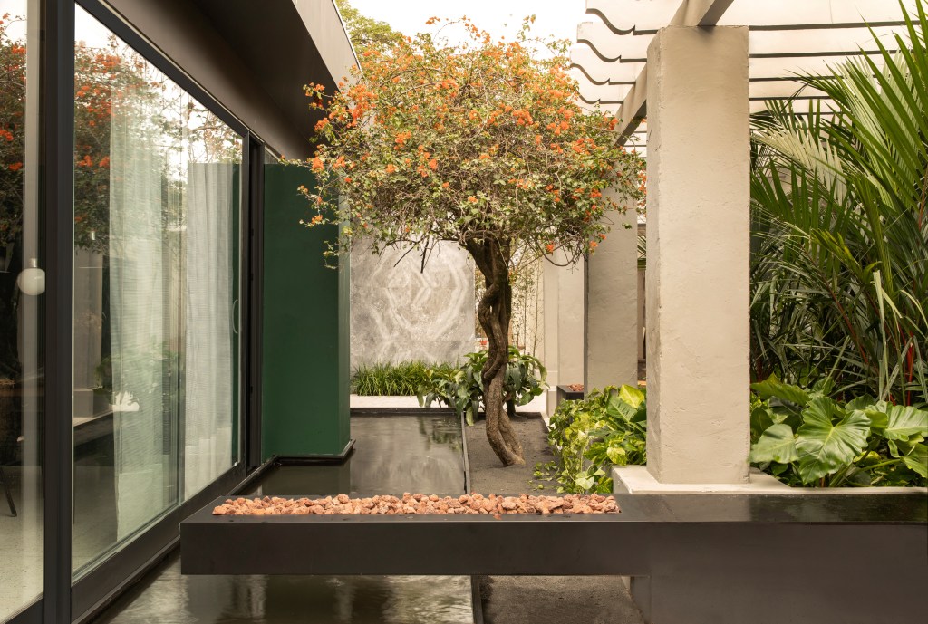 Favoritos dos leitores, descubra os 10 projetos mais vistos da CASACOR