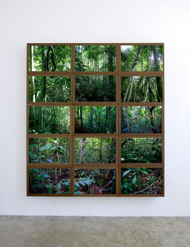 Arte e meio ambiente são temas de exposição no MuBE
