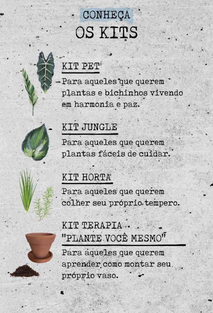 IMG_7440 Paisagista propõe delivery de plantas para aliviar ansiedade